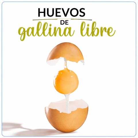 Huevos