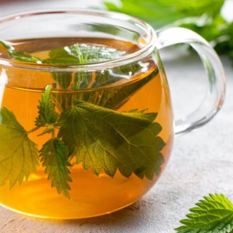 Té e infusiones