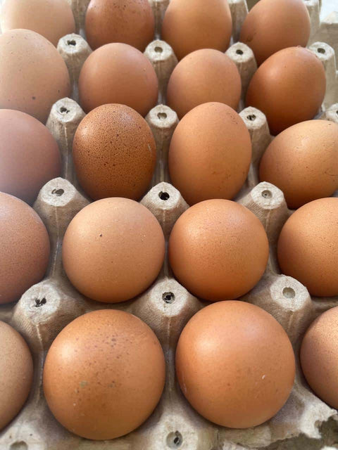 Huevos Primera