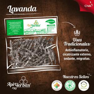Lavanda