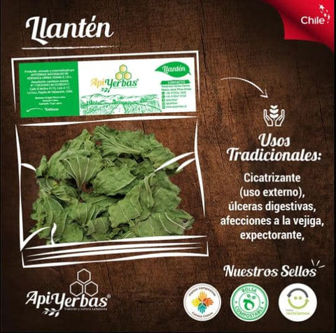 Llantén